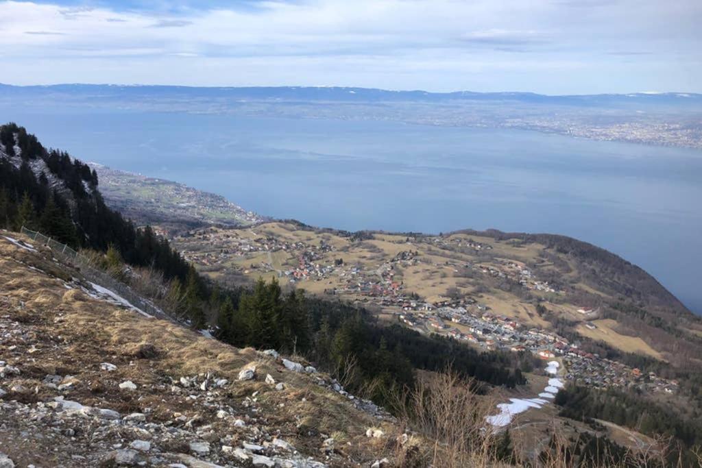 Studio Agreable Et Cosy Avec Vue Sur Les Memises Thollon-les-Memises Dış mekan fotoğraf